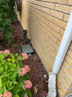 A close-up outdoor shot of a beige brick wall corner with a white downspout, mulch ground cover, a small black metal fixture, and pink hydrangea flowers in the foreground.